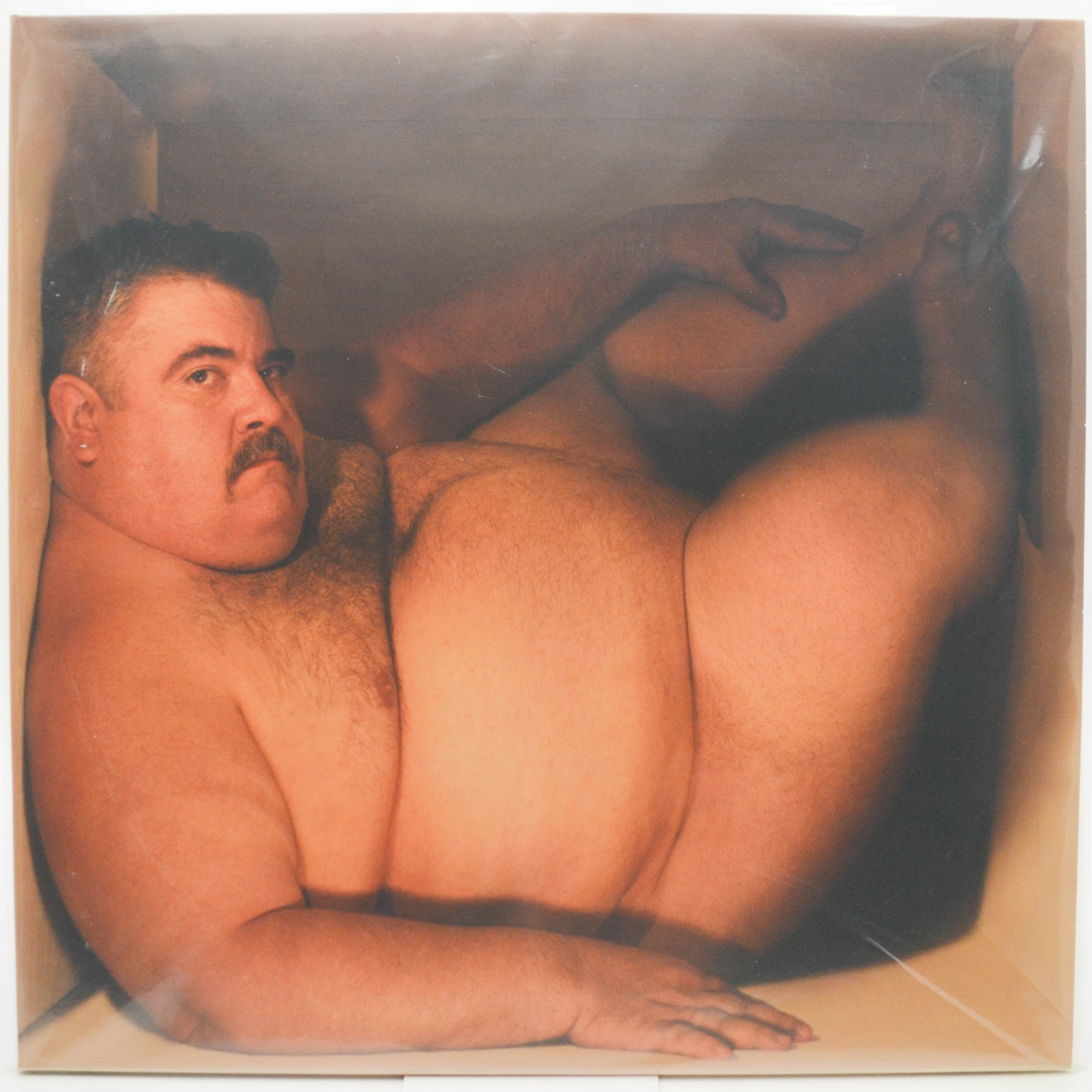 Bloodhound Gang — Hefty Fine (USA), 2005