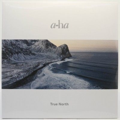 True North (2LP), 2022