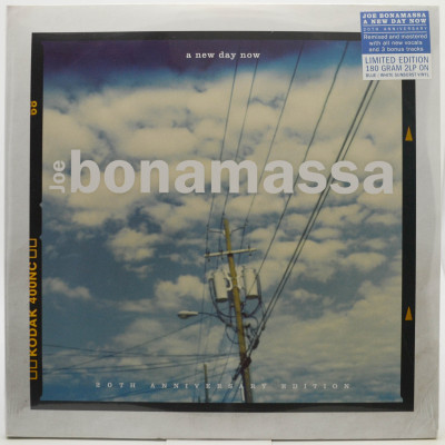 Виниловая пластинка A New Day Now - 20th Anniversary Edition (2LP), 2000