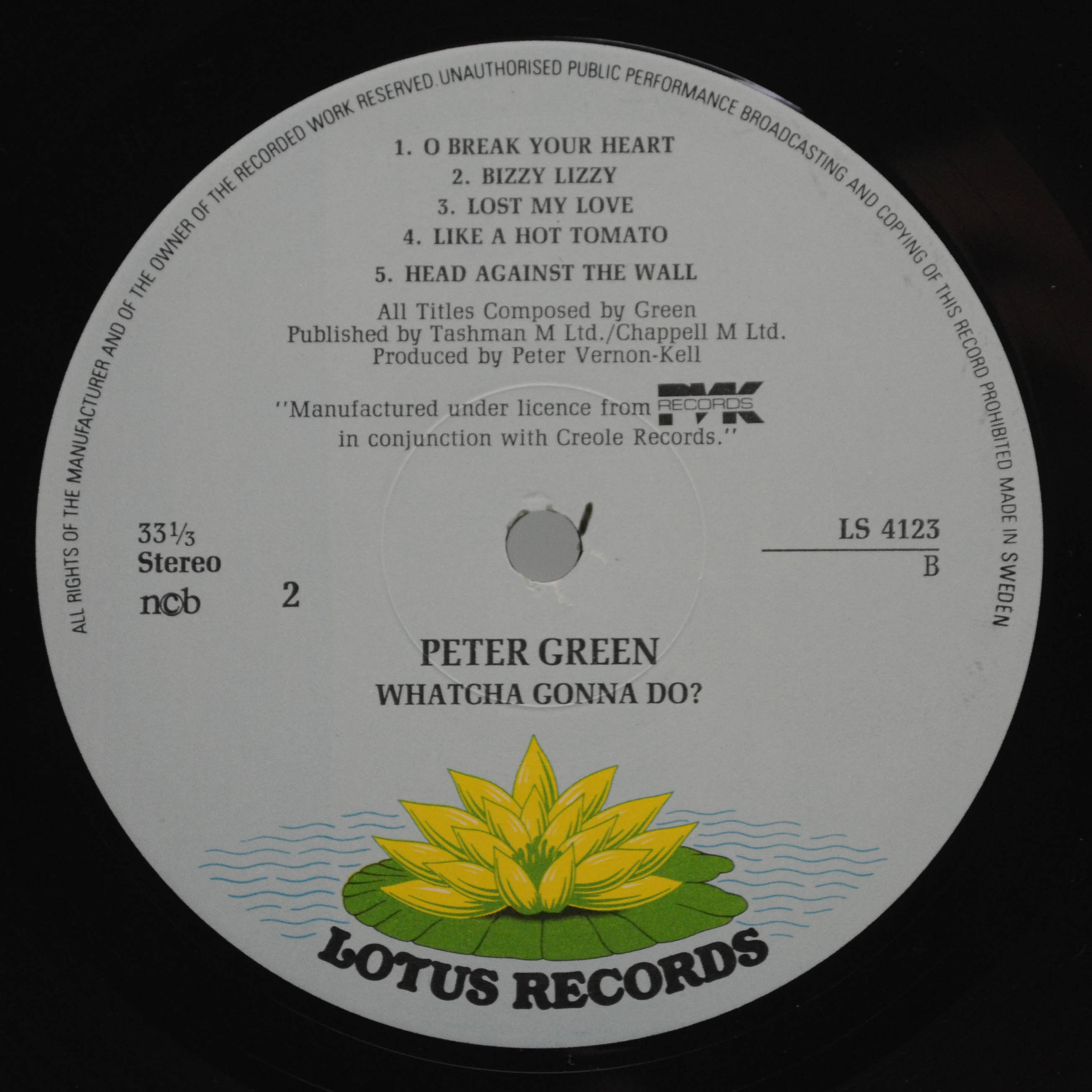 Peter Green — Whatcha Gonna Do?, 1981