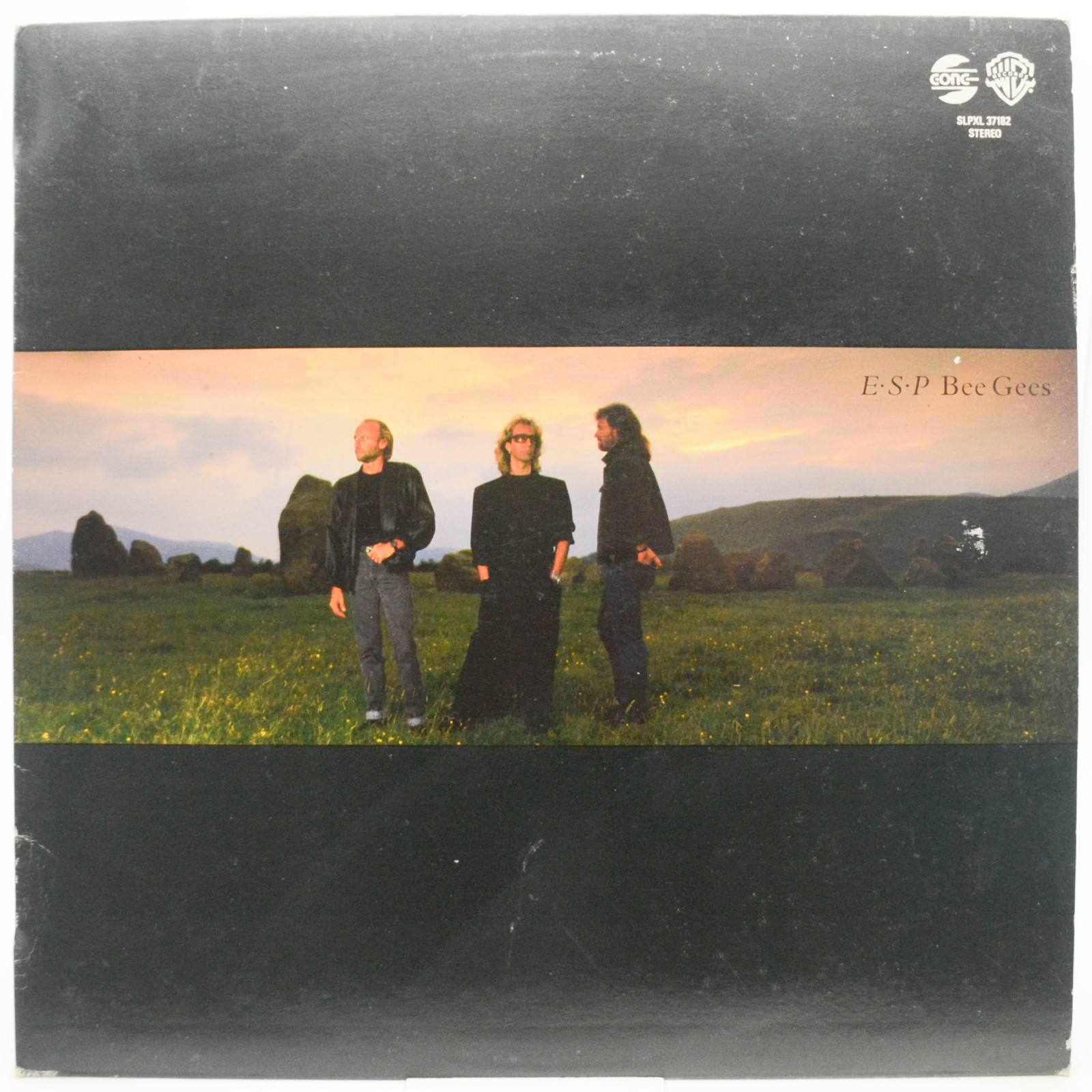 Bee Gees — E·S·P, 1987