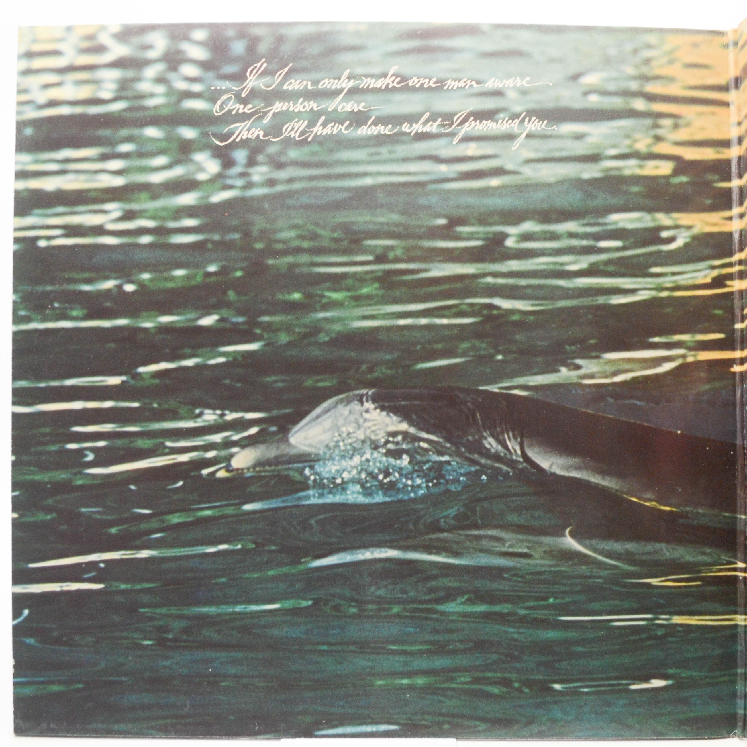 Olivia Newton-John — Physical, 1981