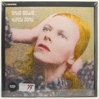 Hunky Dory, 1971