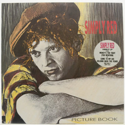 Виниловая пластинка Picture Book, 1985