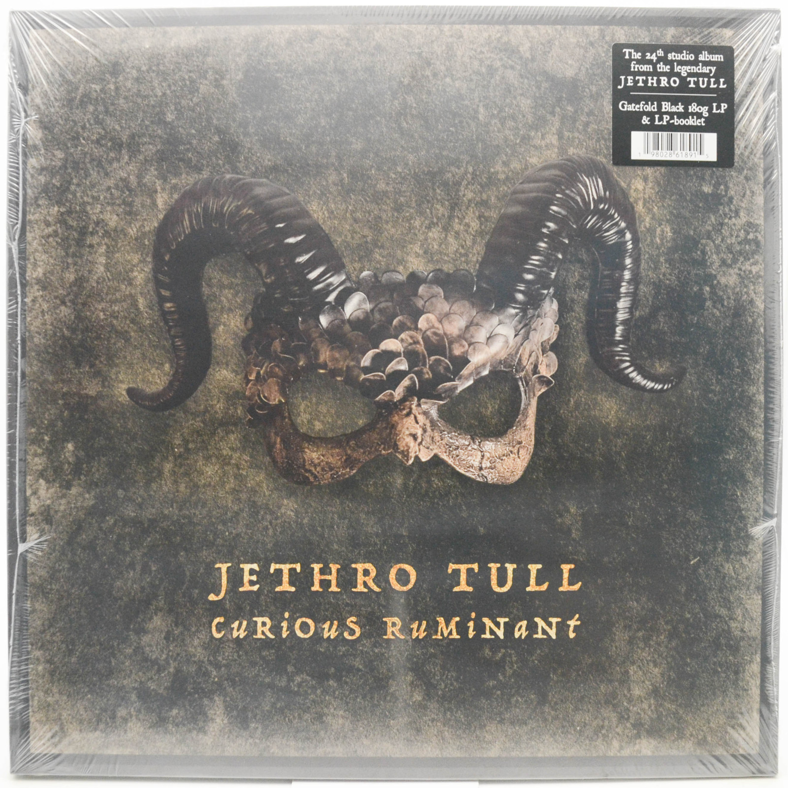Jethro Tull — Curious Ruminant, 2025