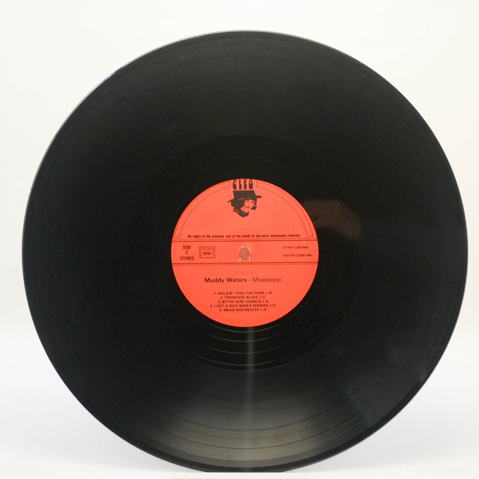 Muddy Waters — Mississippi, 1980