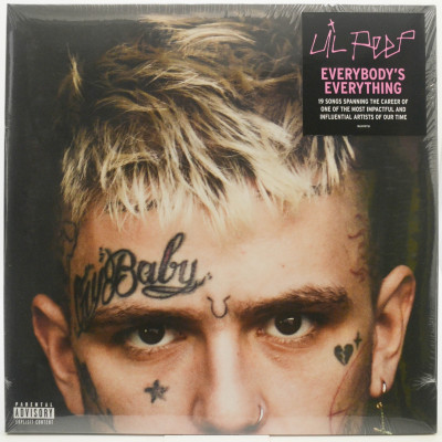 Виниловая пластинка Everybody's Everything (2LP), 2020