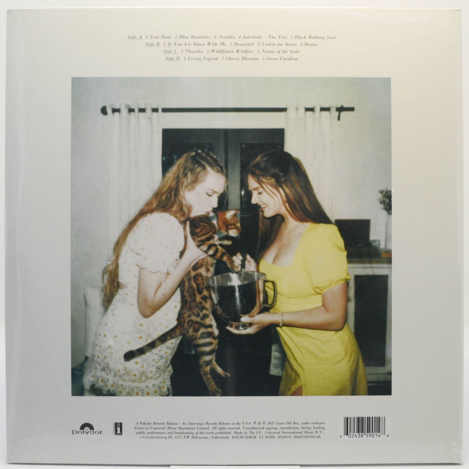 Lana Del Rey — Blue Banisters (2LP), 2021