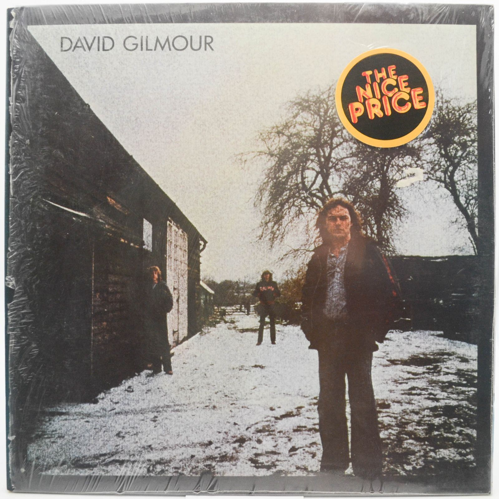 David Gilmour — David Gilmour (USA), 1978