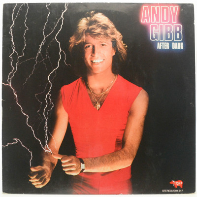 Виниловая пластинка After Dark, 1980