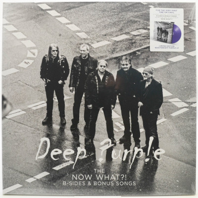Виниловая пластинка The Now What ?! B-Sides & Bonus Songs, 2025