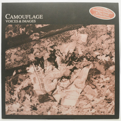Виниловая пластинка Voices & Images (1-st, Germany), 1988
