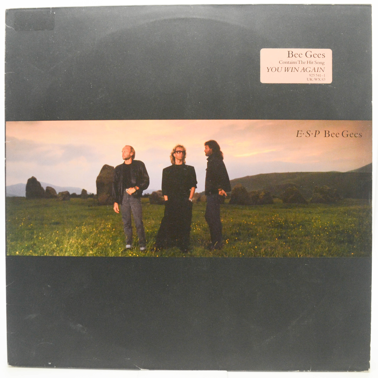 Bee Gees — E·S·P, 1987