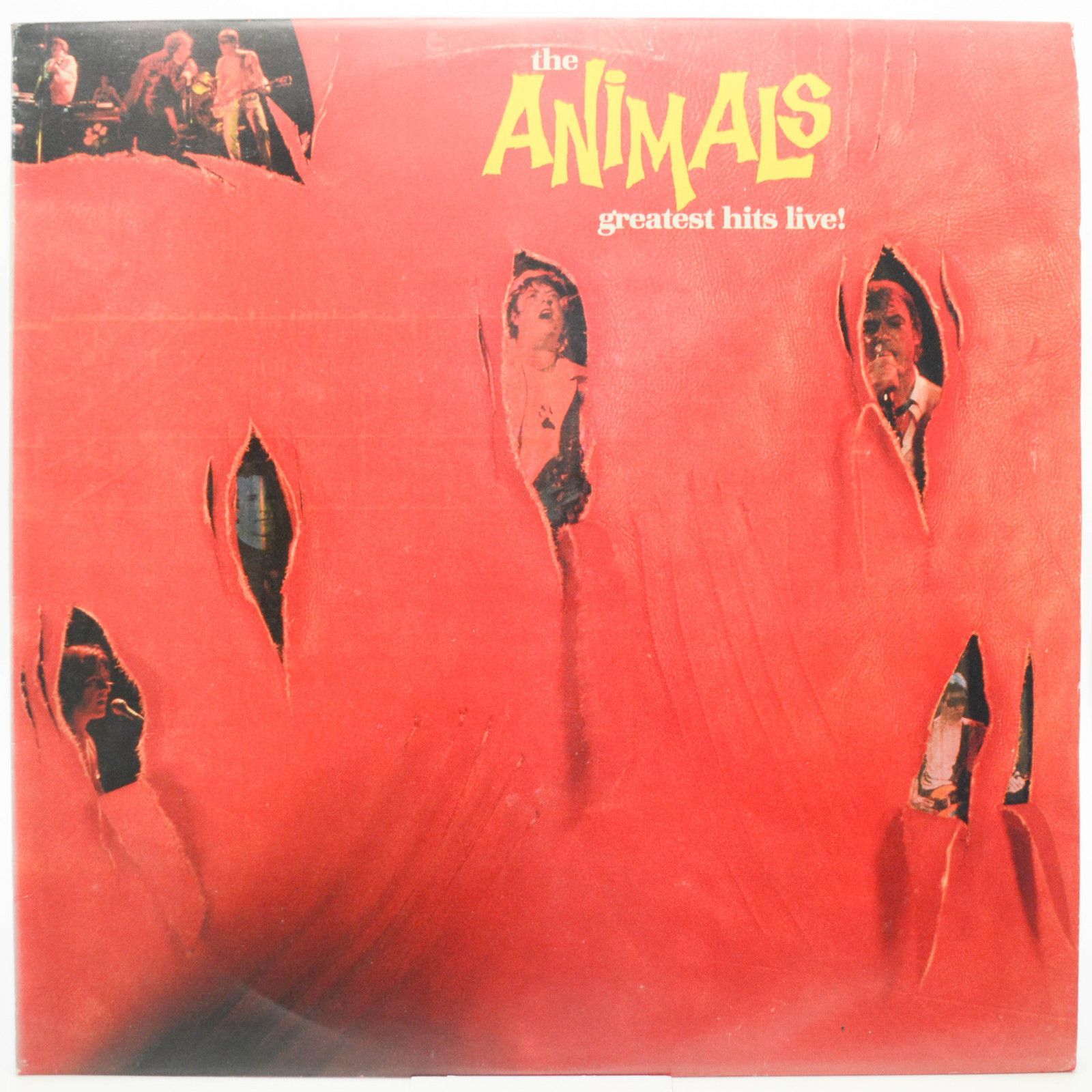 Animals — Greatest Hits Live!, 1984