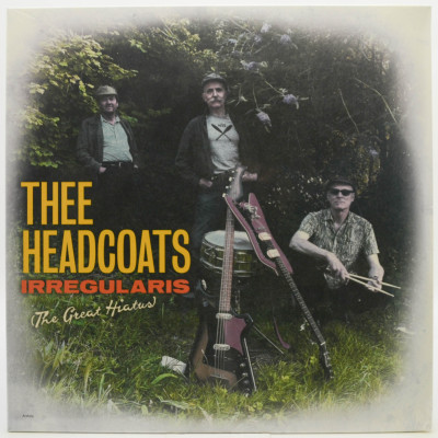 Виниловая пластинка Irregularis (The Great Hiatus) (UK), 2023