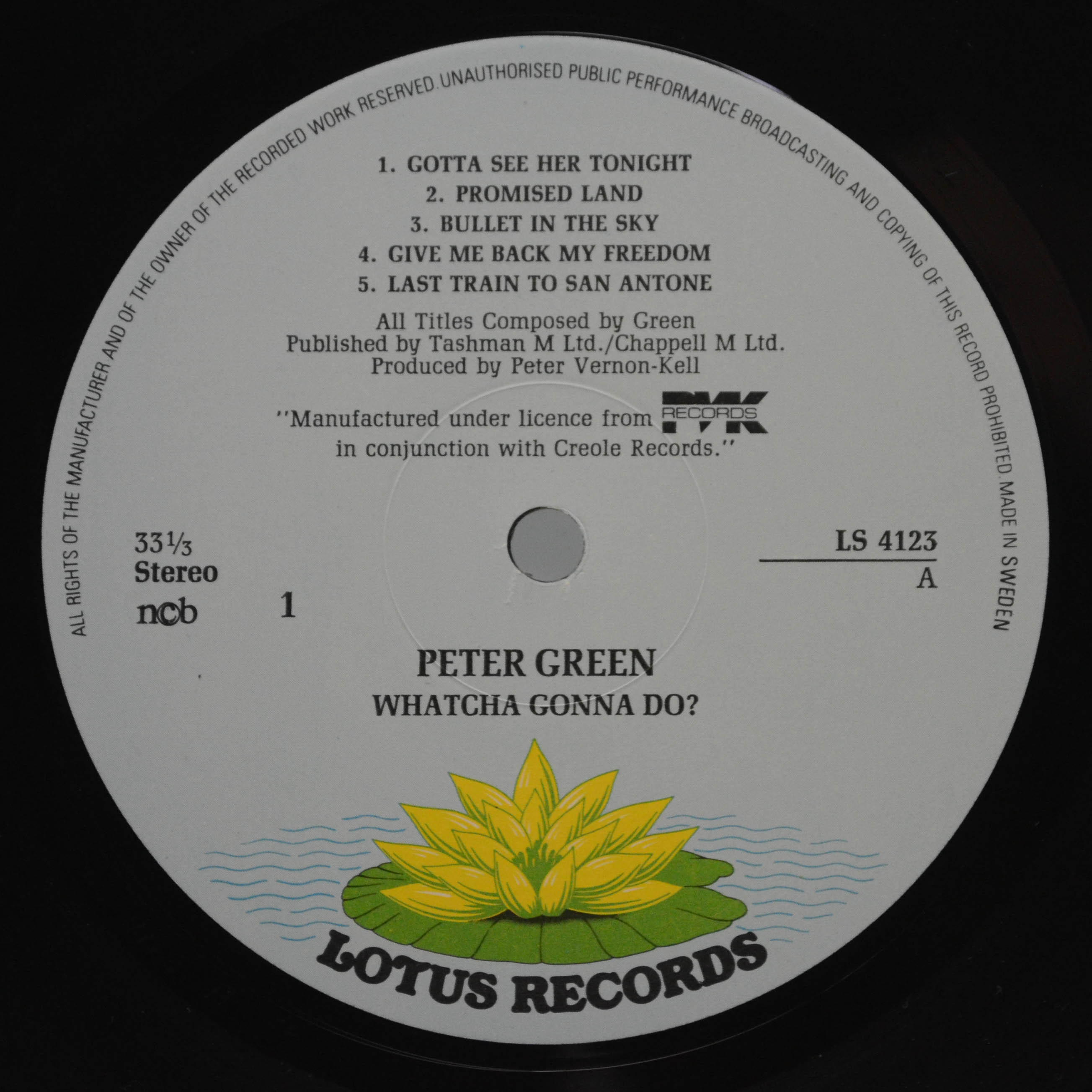 Peter Green — Whatcha Gonna Do?, 1981