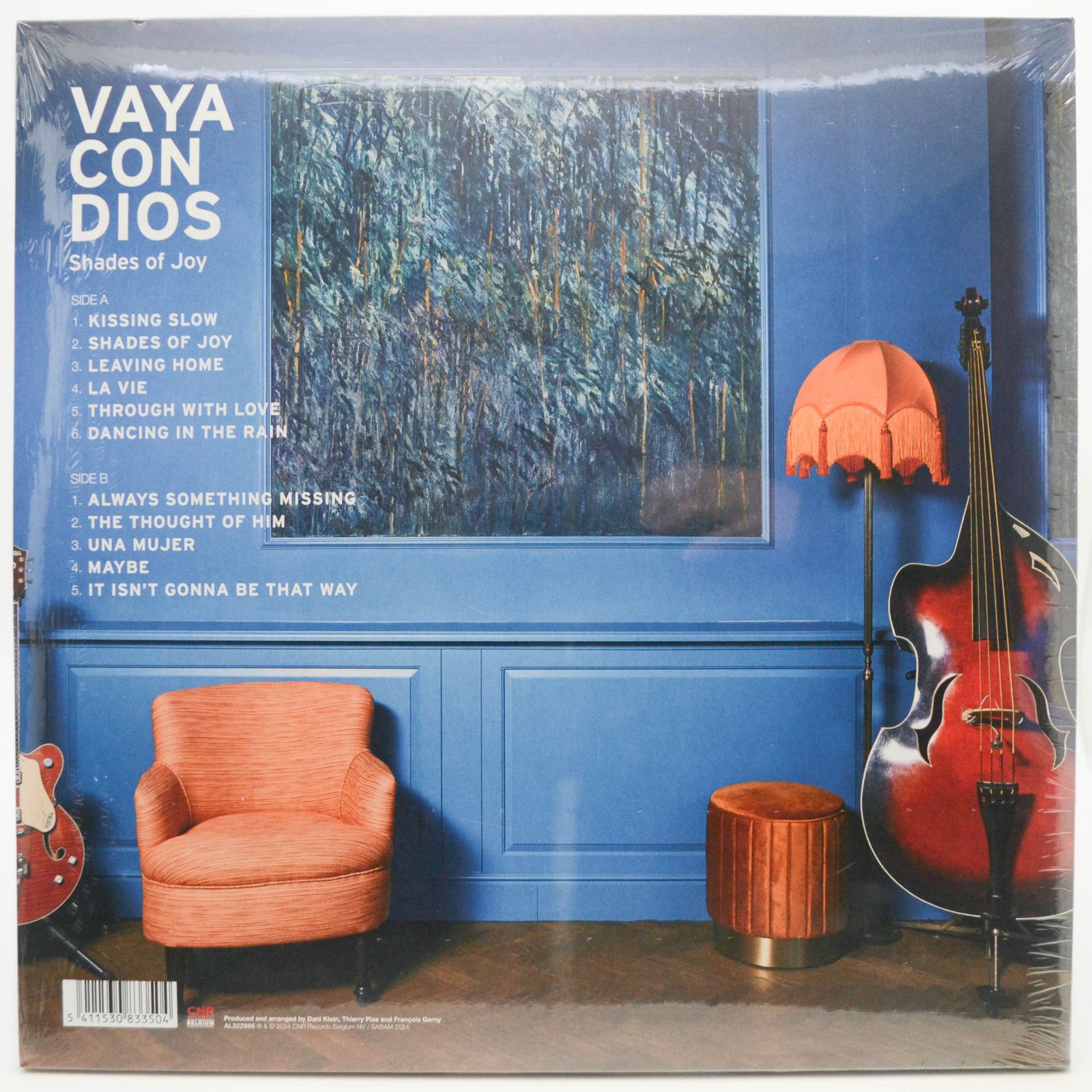 Vaya Con Dios — Shades of Joy, 2023