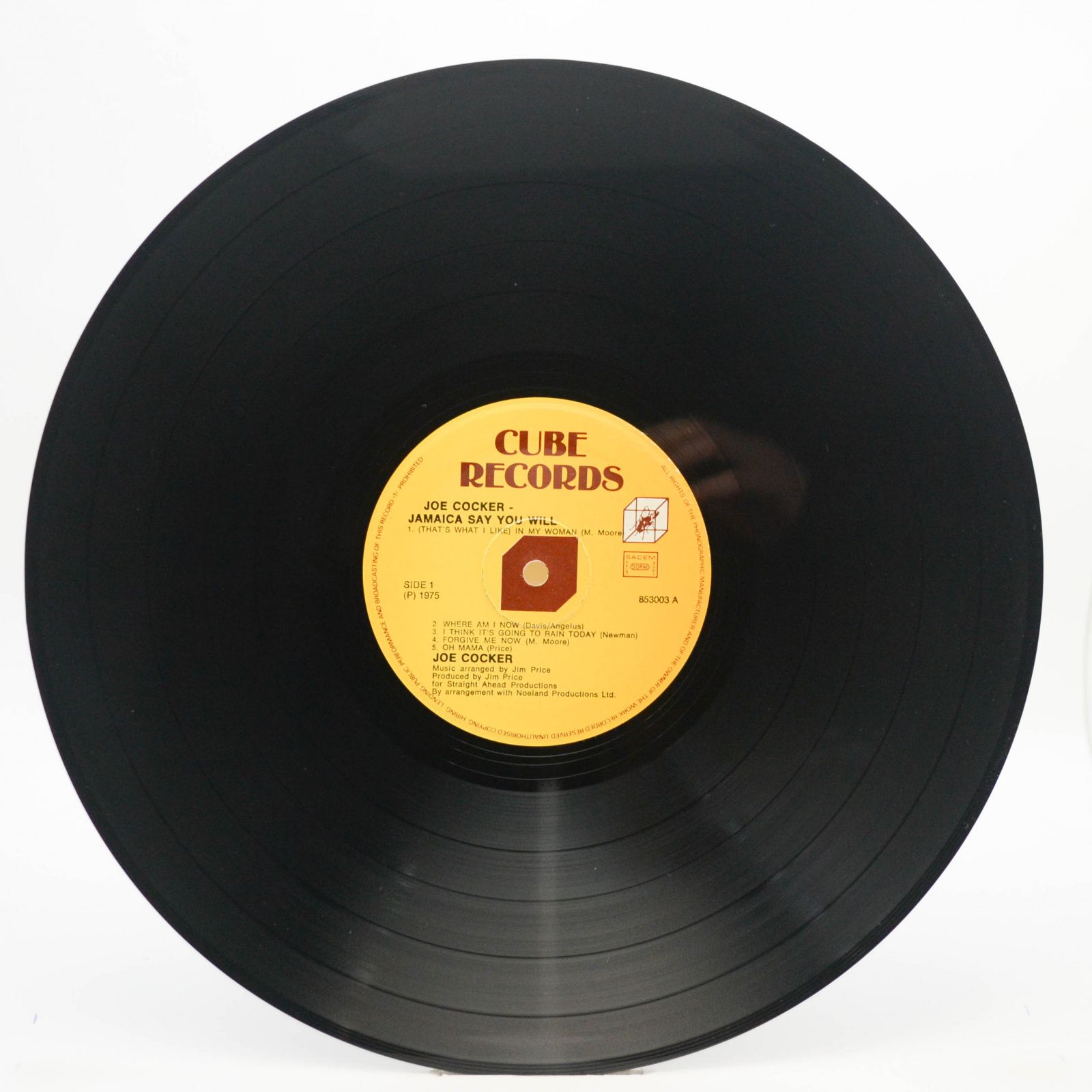 Joe Cocker — Jamaica Say You Will, 1975