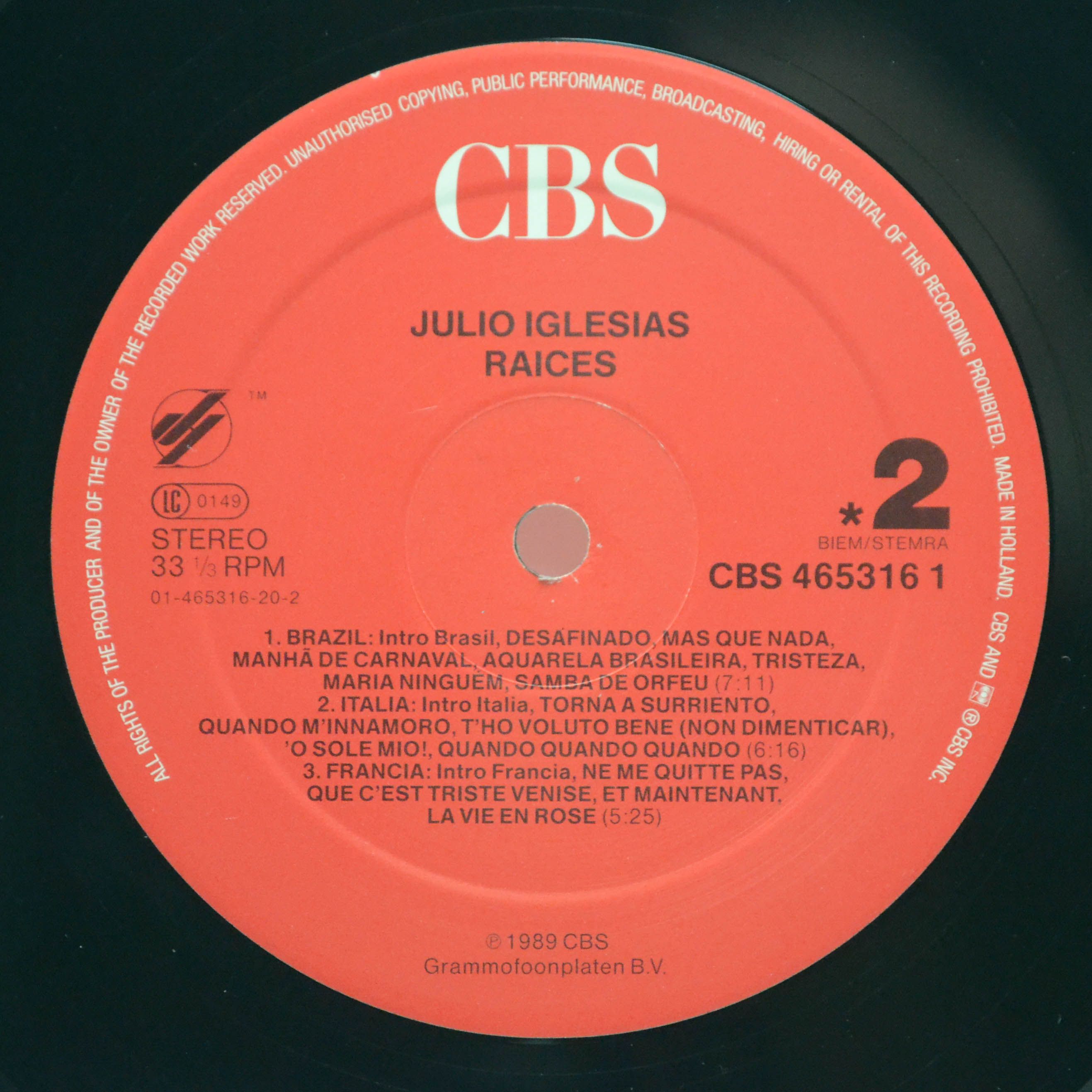 Julio Iglesias — Raices, 1989