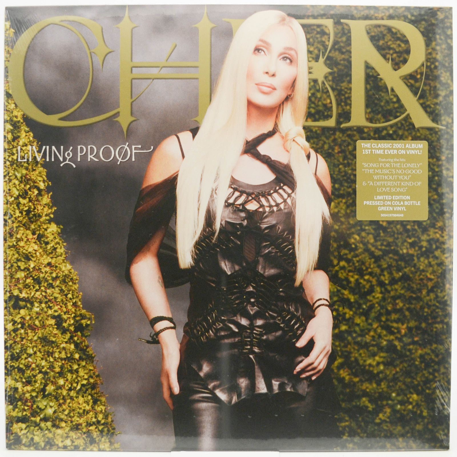 Cher — Living Proof, 2001