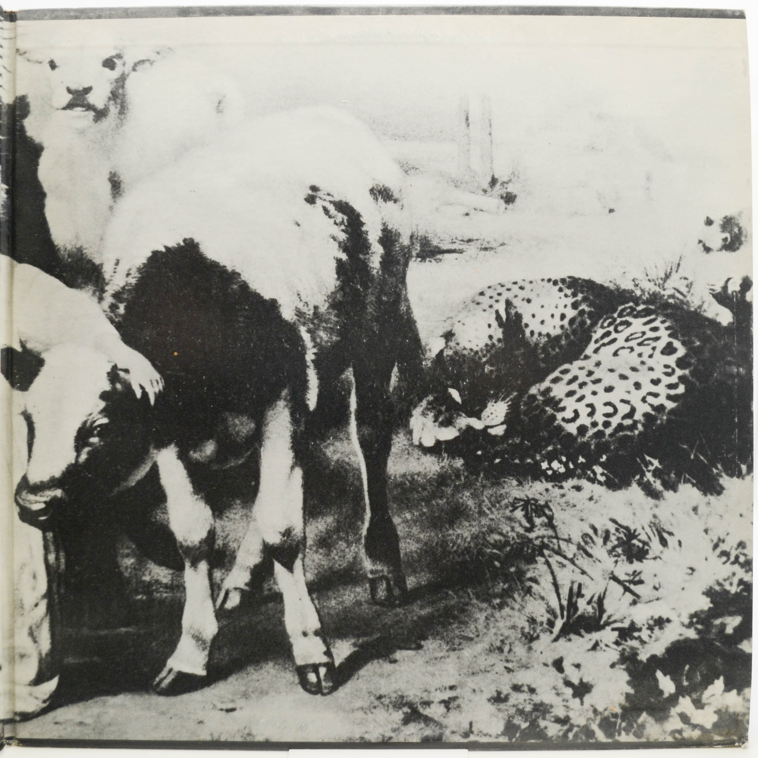 Mott The Hoople — Mad Shadows (USA), 1970