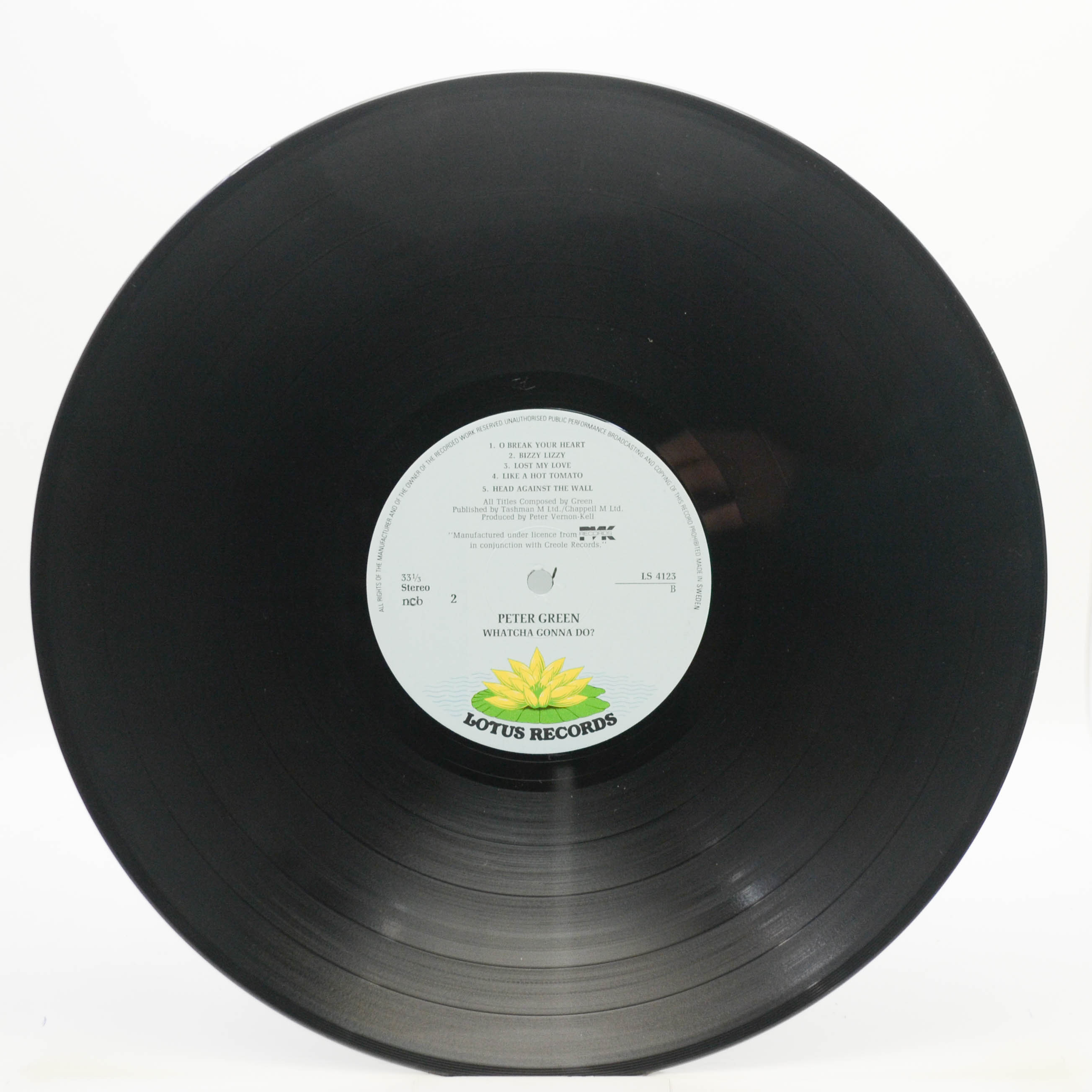 Peter Green — Whatcha Gonna Do?, 1981