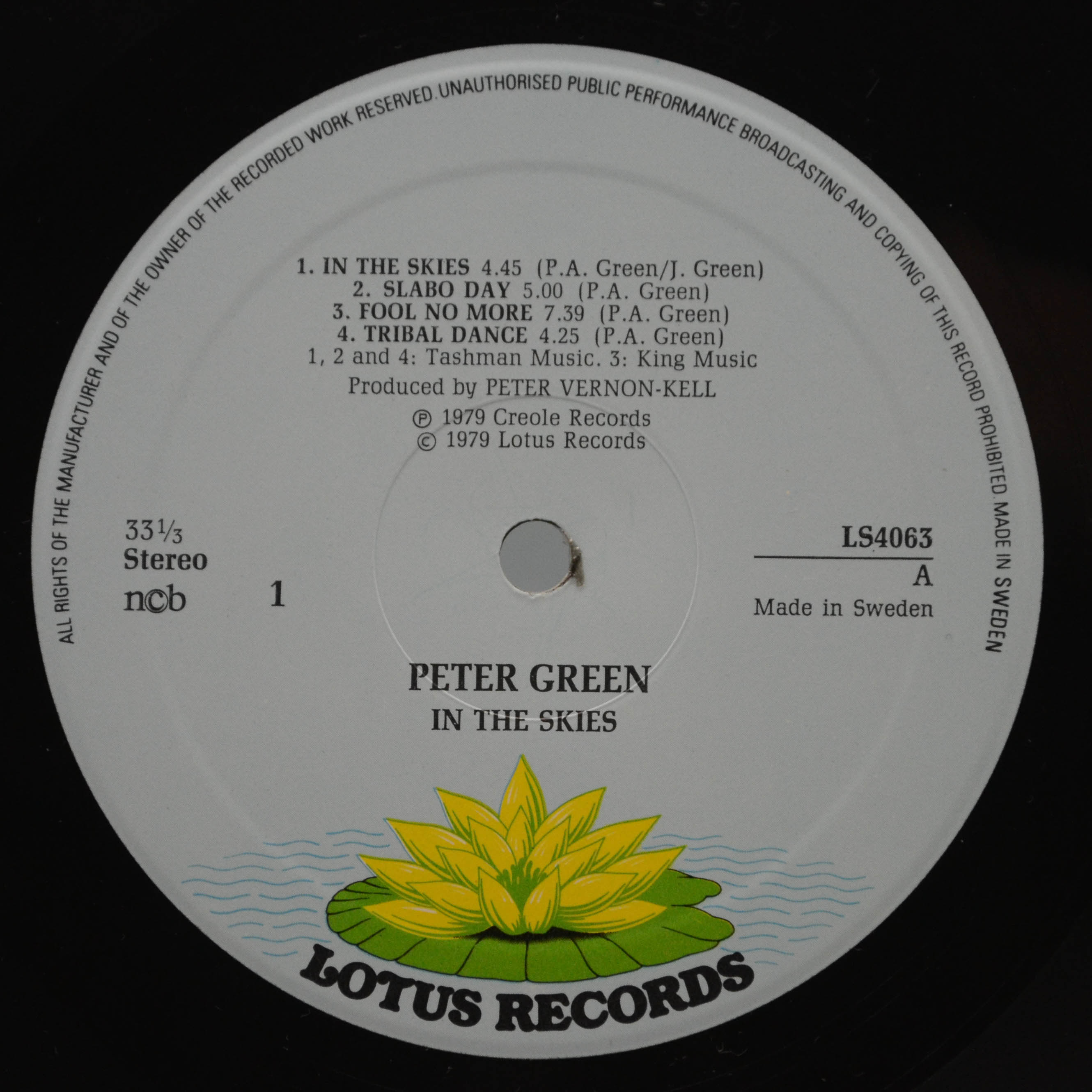 Peter Green — In The Skies, 1979