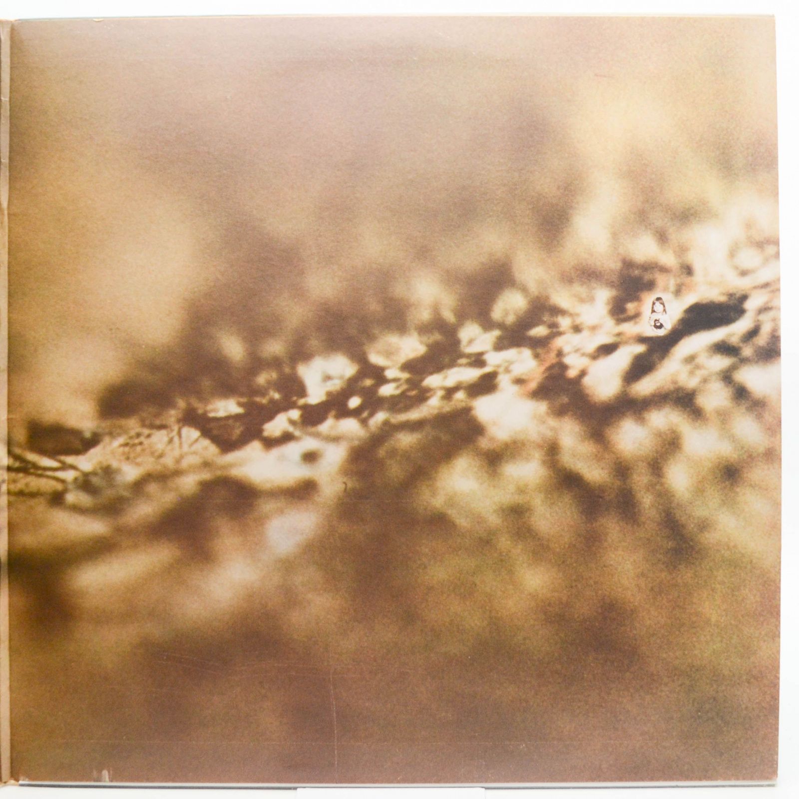 Tangerine Dream — Rubycon, 1975