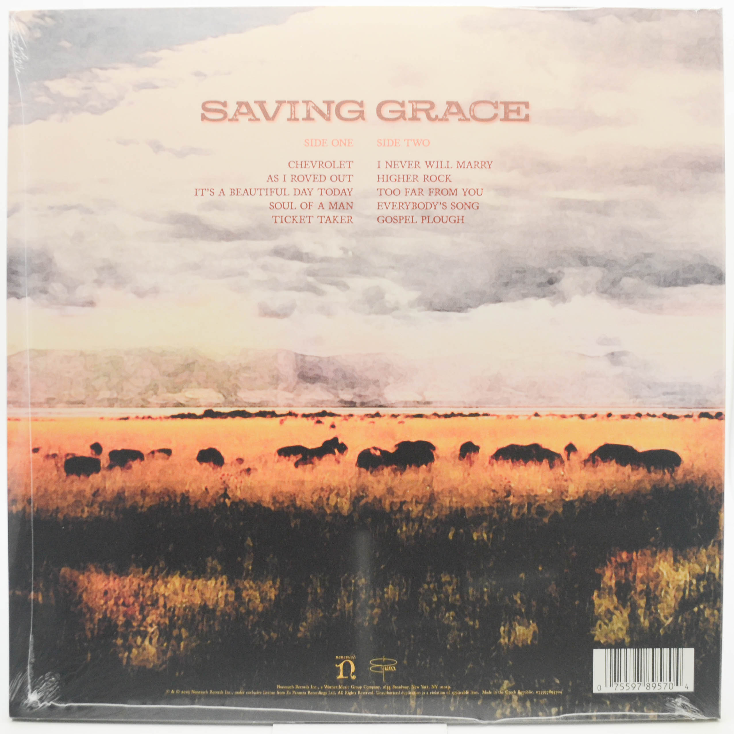 Robert Plant With Suzi Dian — Saving Grace, 2025