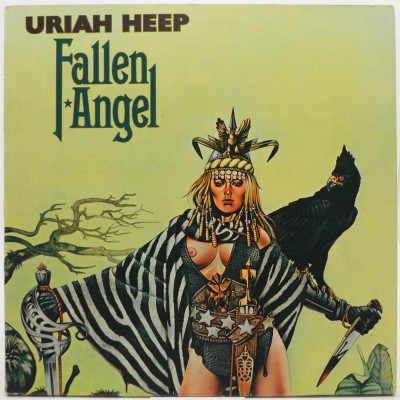 Виниловая пластинка Fallen Angel, 1978